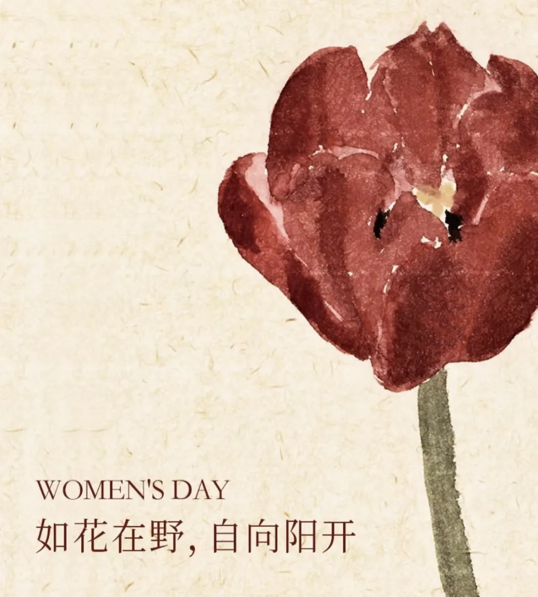 3·8女神節(jié)丨 南北特糕點(diǎn)，獻(xiàn)給每一位甜蜜女神